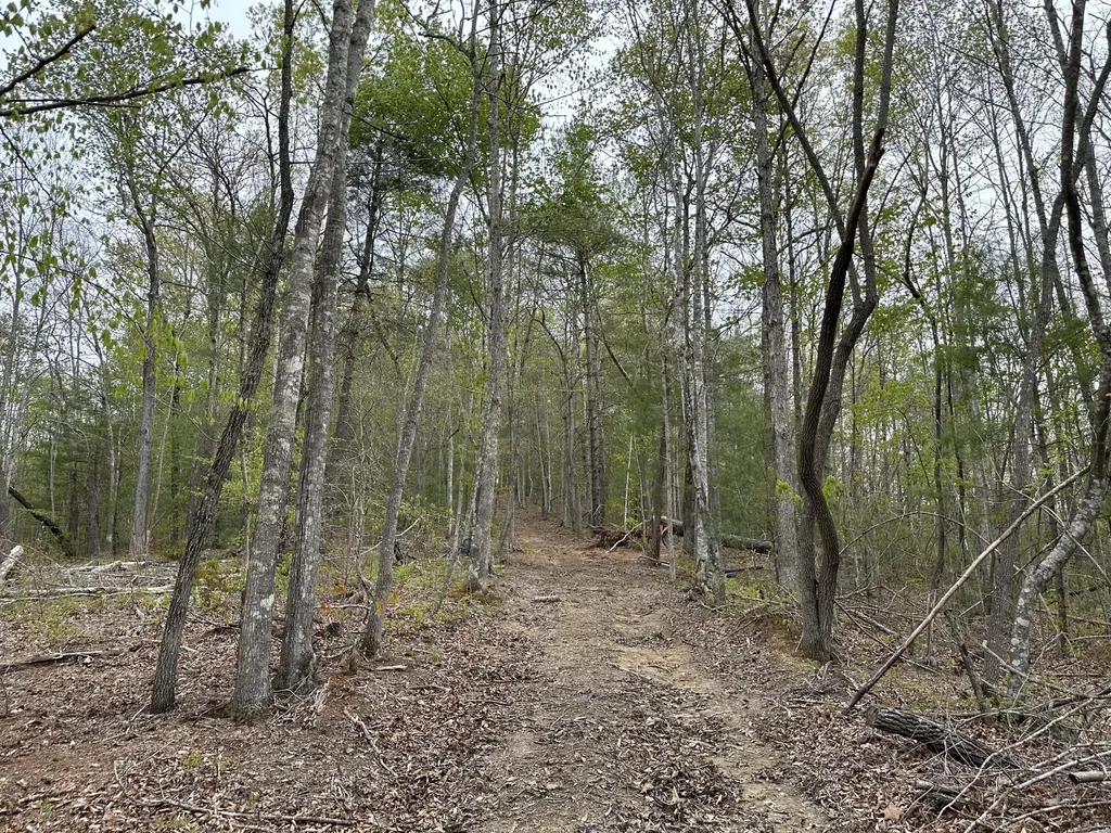43 Deer Run Lane Campton KY 41301