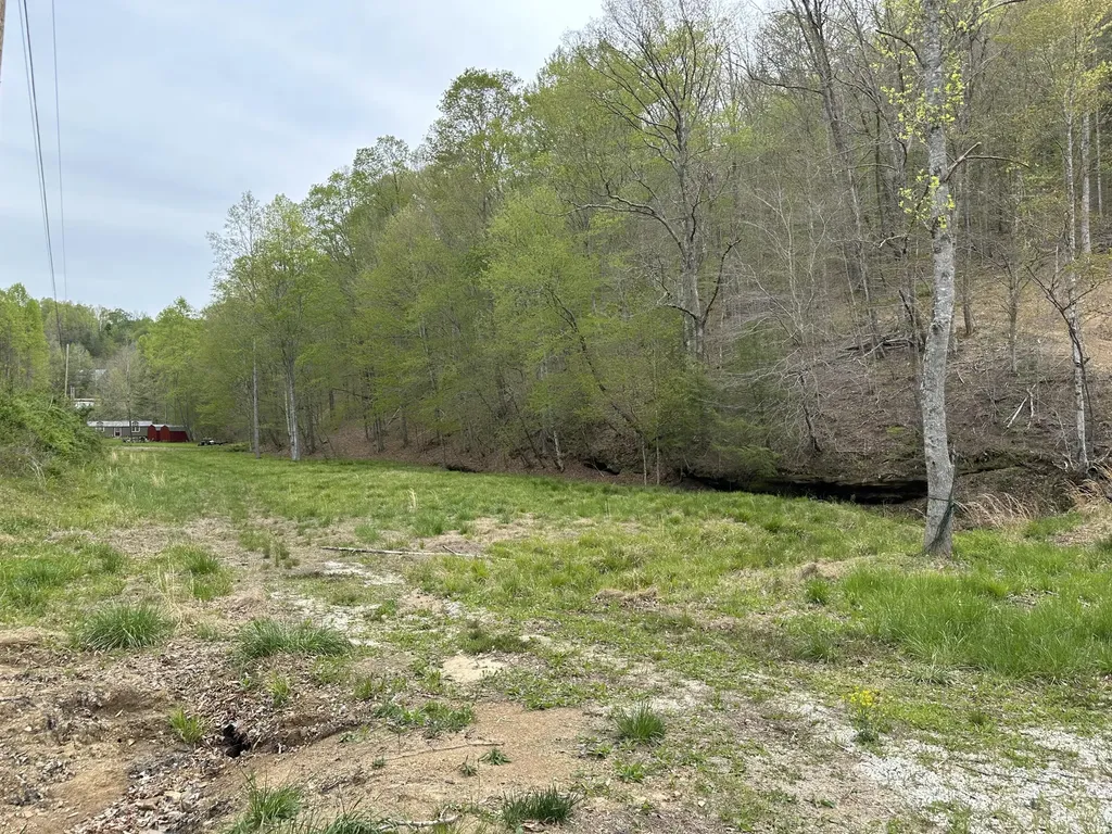 43 Deer Run Lane Campton KY 41301