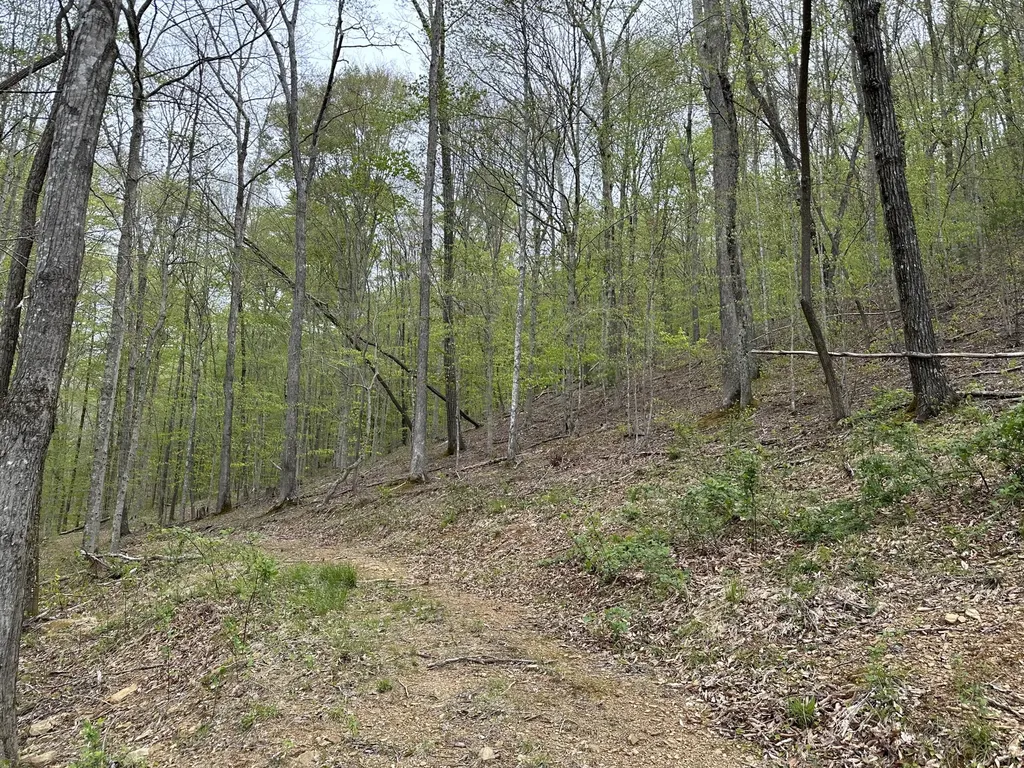 43 Deer Run Lane Campton KY 41301
