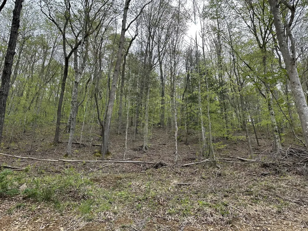 43 Deer Run Lane Campton KY 41301