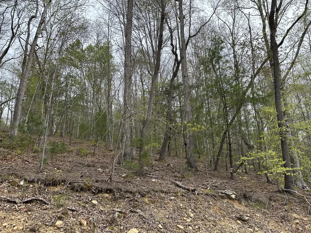 43 Deer Run Lane Campton KY 41301