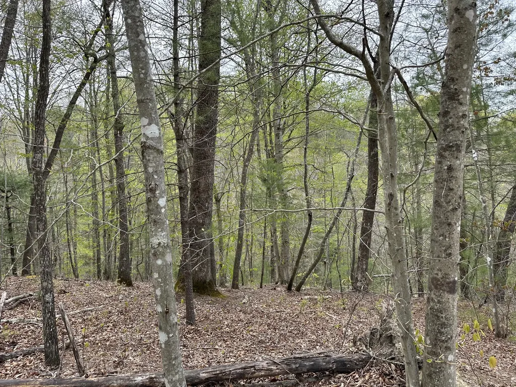 43 Deer Run Lane Campton KY 41301
