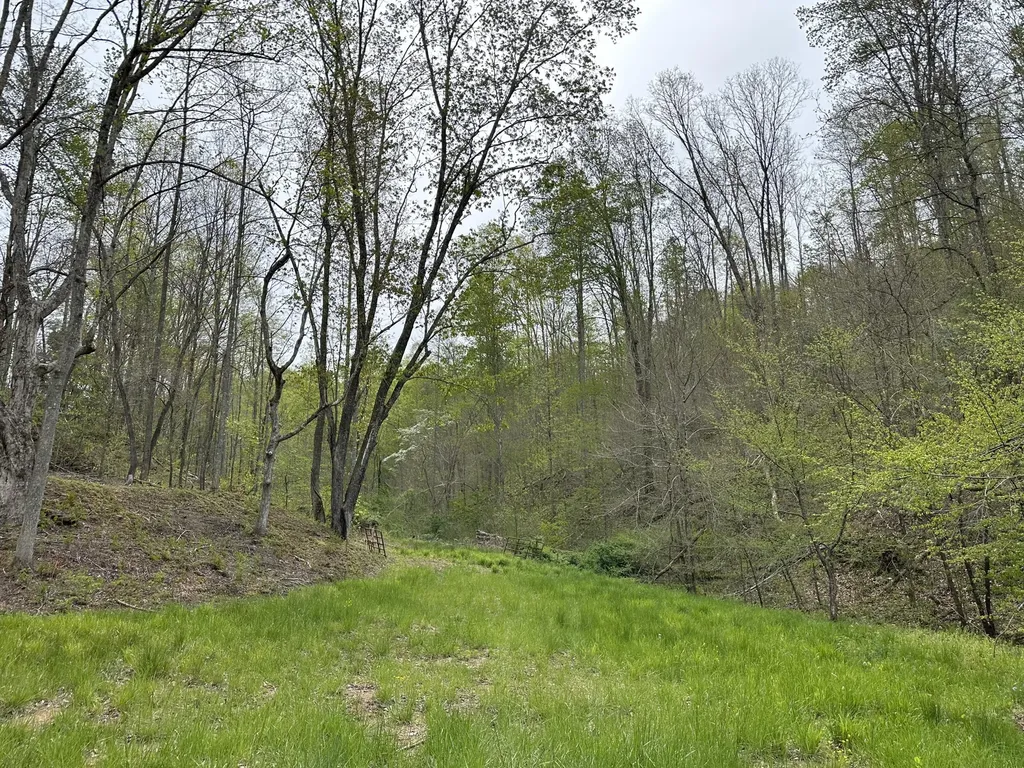 43 Deer Run Lane Campton KY 41301