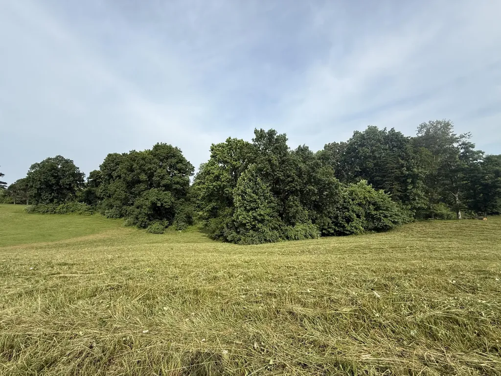121 Tatum Point Drive Somerset KY 42503