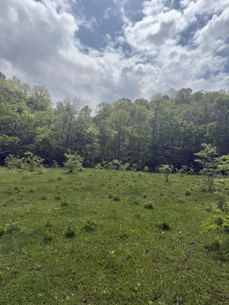 2125 High Reeves Spur 1 Richmond KY 40475