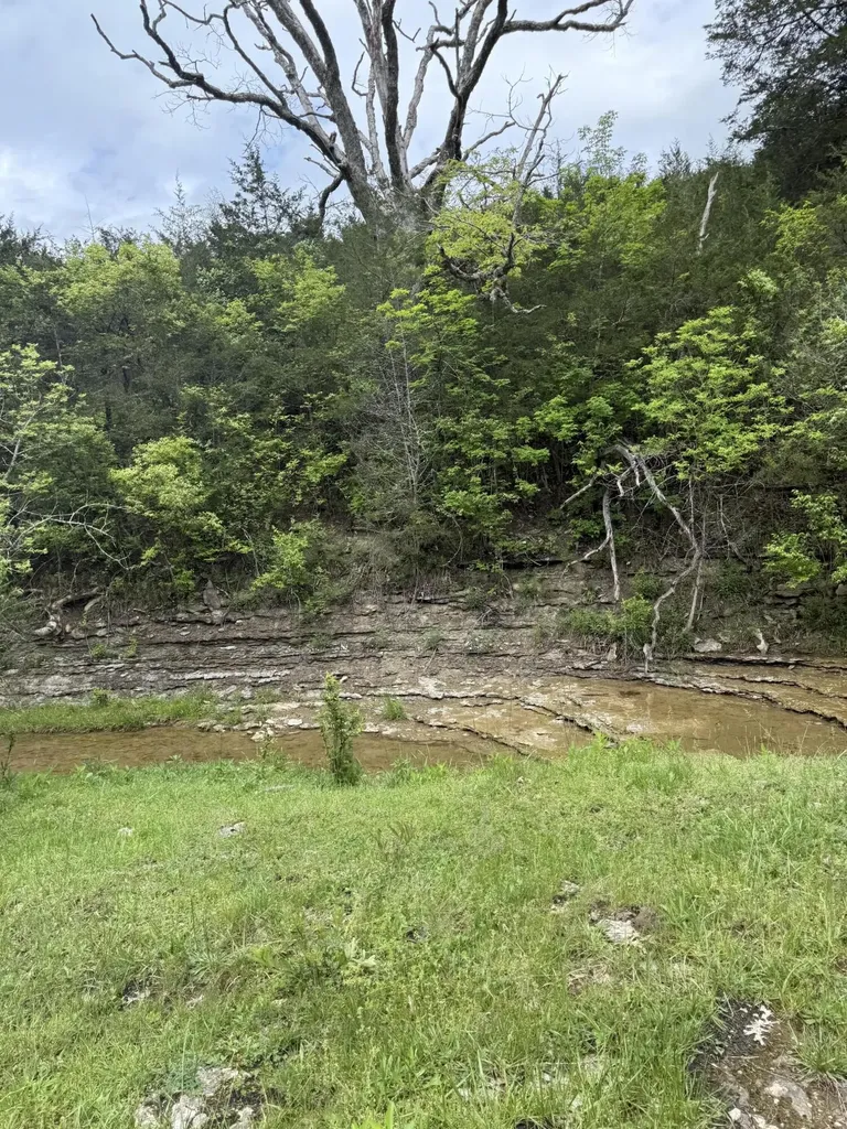 2125 High Reeves Spur 1 Richmond KY 40475