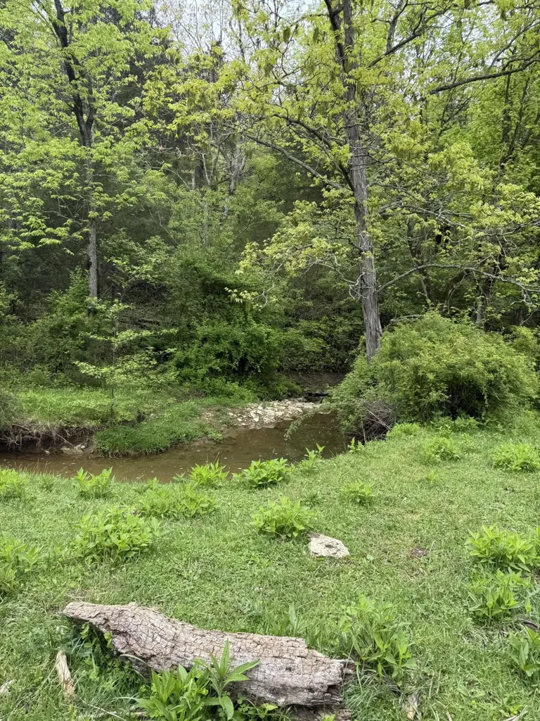 2125 High Reeves Spur 1 Richmond KY 40475