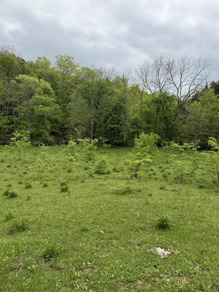 2125 High Reeves Spur 1 Richmond KY 40475