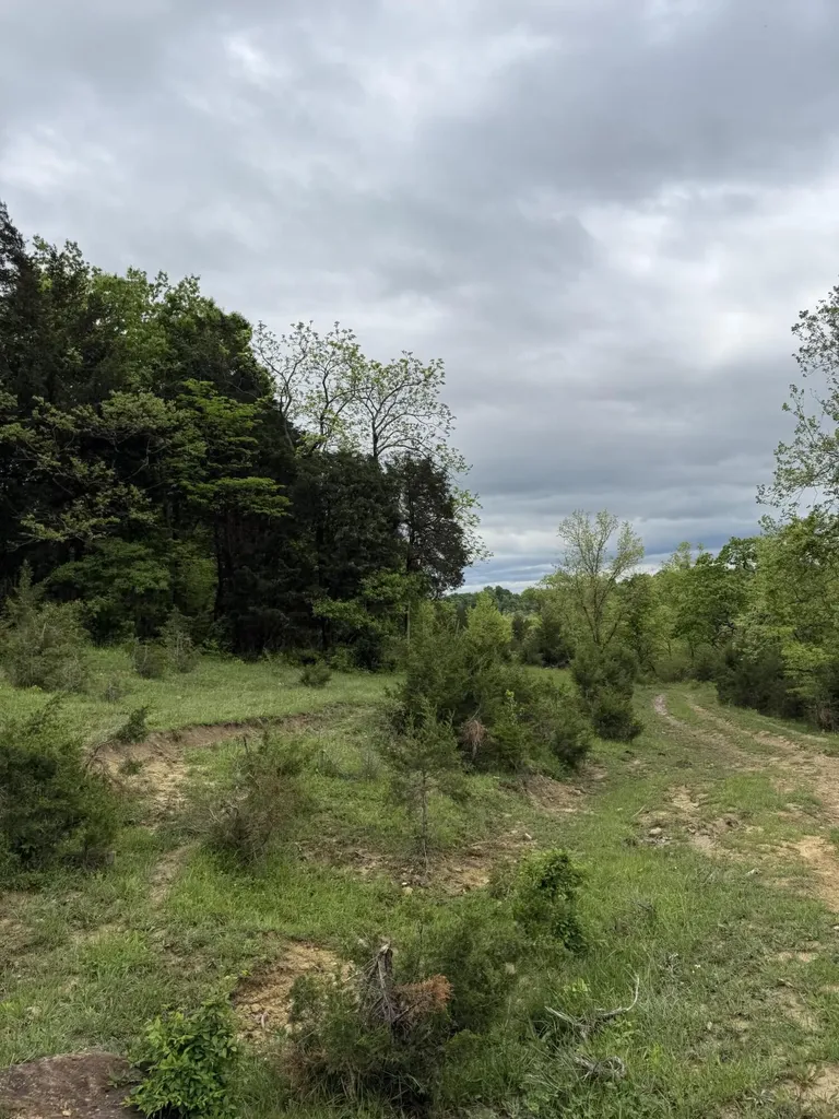 2125 High Reeves Spur 1 Richmond KY 40475