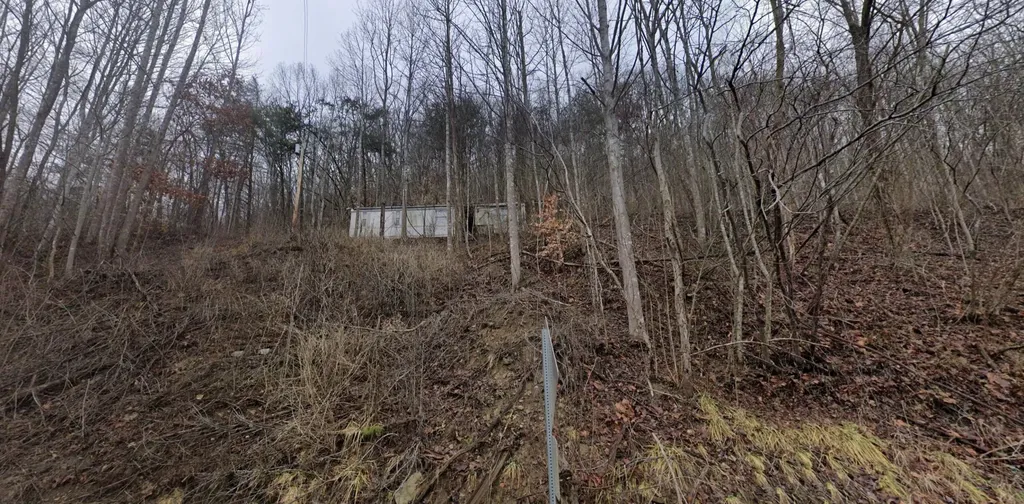 20184 Grapevine Road Phyllis KY 41544