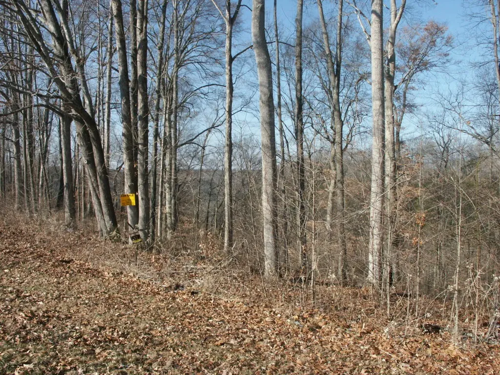 Lot 32 Laurelwood Nancy KY 42544