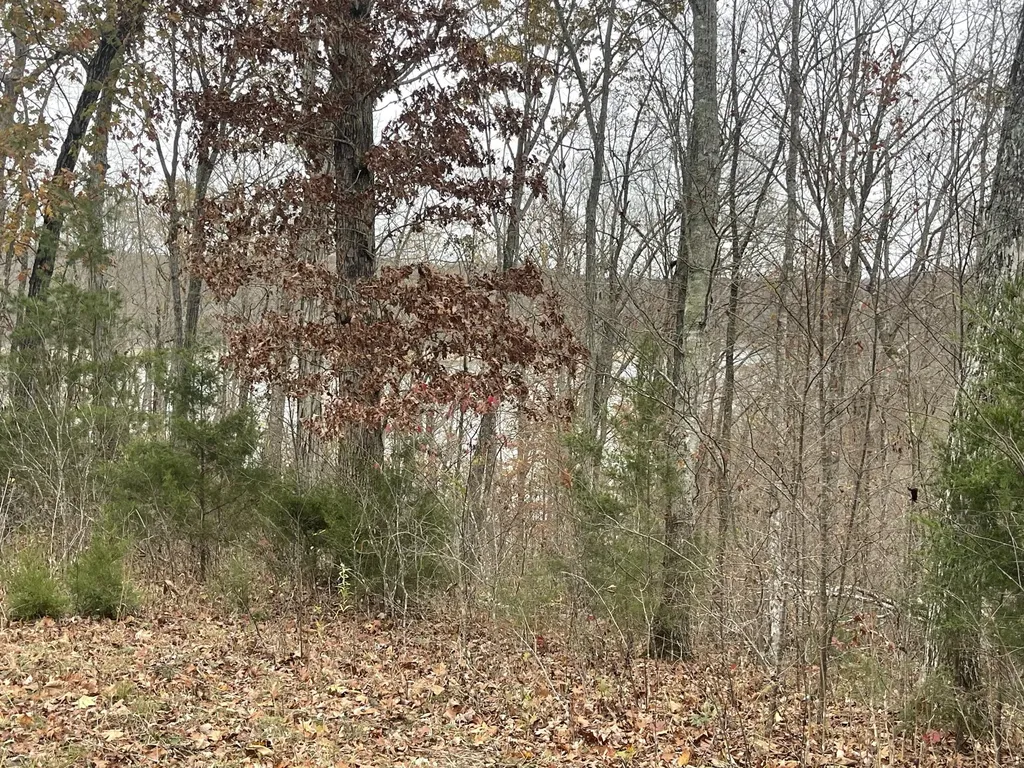 Lot 28 Cumberland Shores Monticello KY 42633