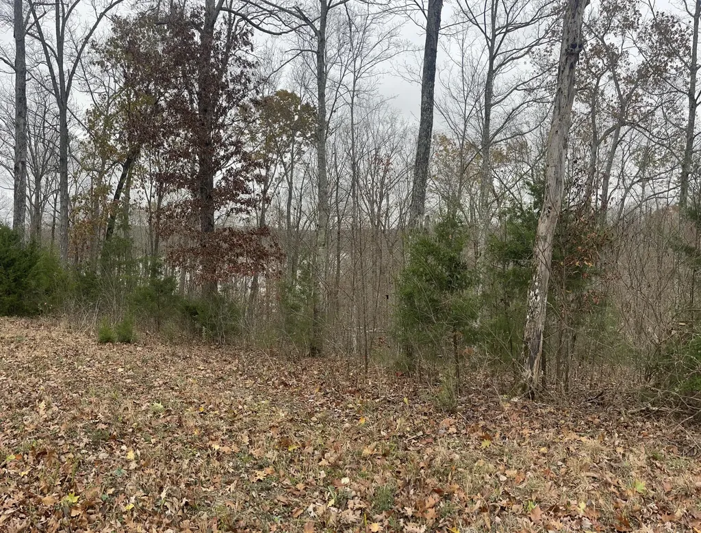 Lot 28 Cumberland Shores Monticello KY 42633