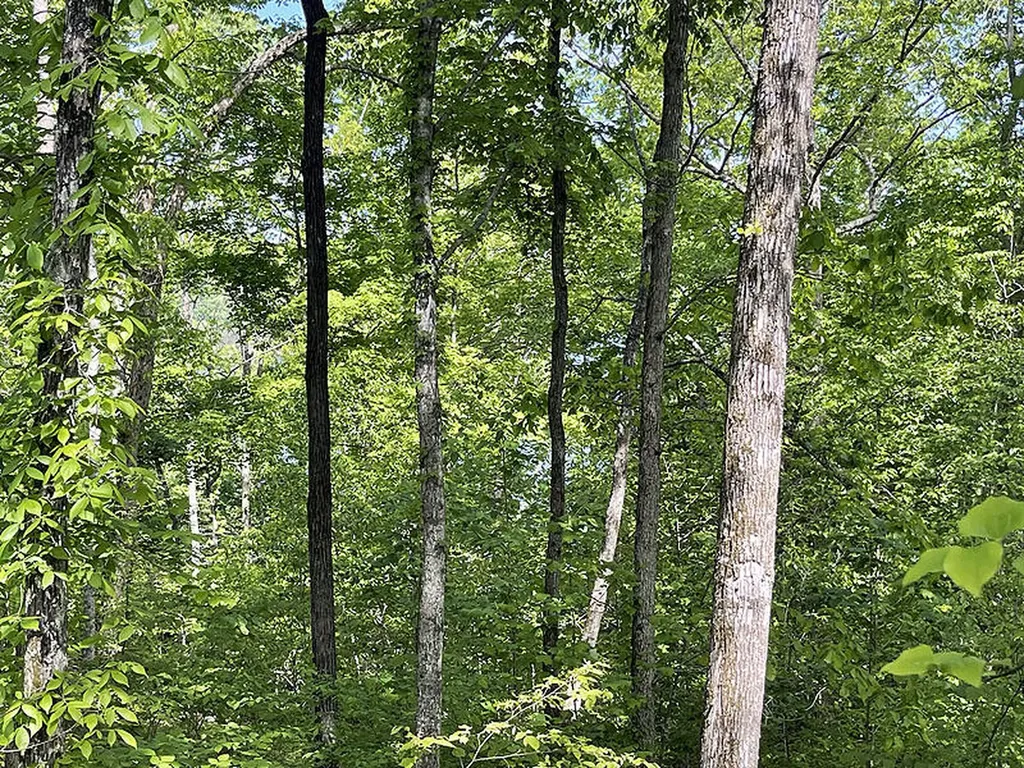 Lot 28 Cumberland Shores Monticello KY 42633