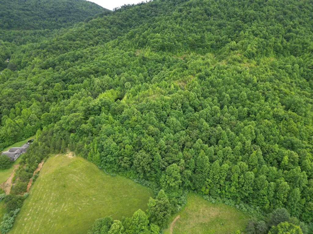 9999 King Fork Road Barbourville KY 40906