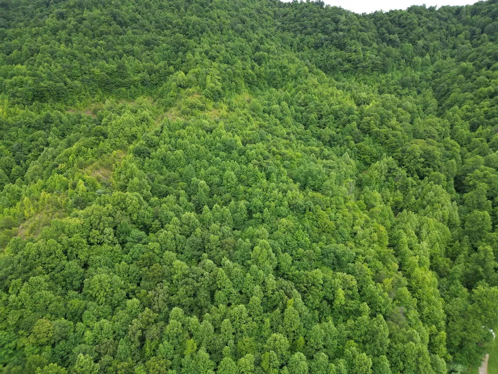 9999 King Fork Road Barbourville KY 40906