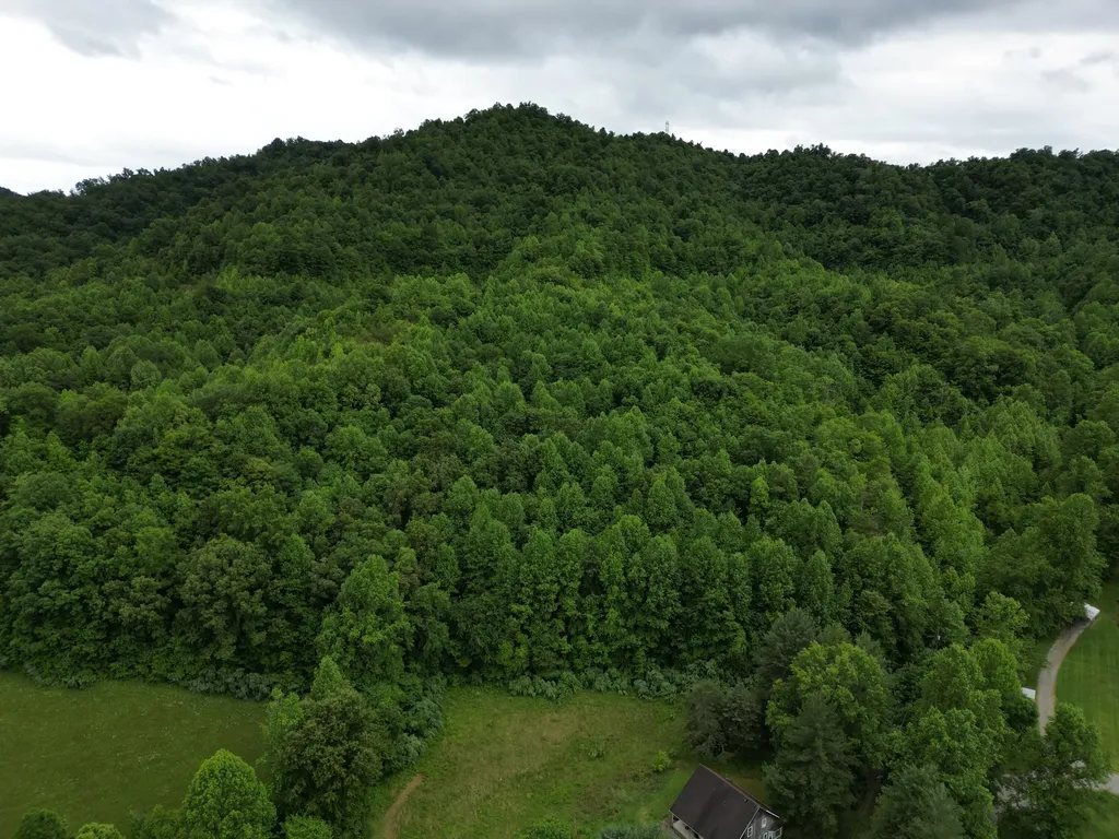 9999 King Fork Road Barbourville KY 40906
