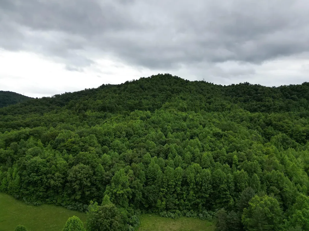 9999 King Fork Road Barbourville KY 40906
