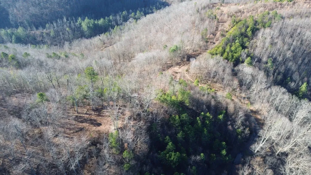 150 Sycamore Creek Road Van Lear KY 41265