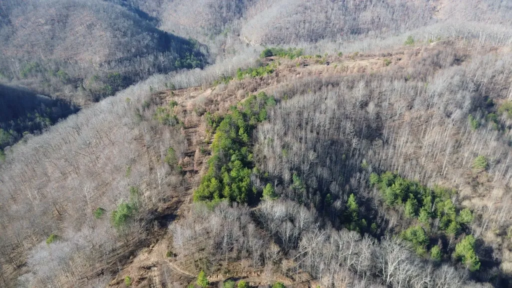 150 Sycamore Creek Road Van Lear KY 41265