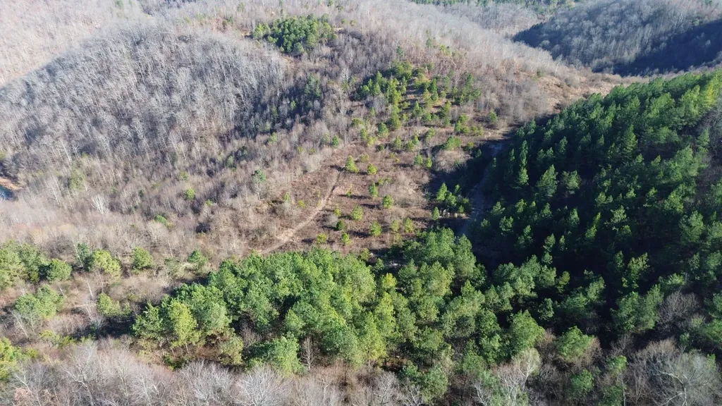 150 Sycamore Creek Road Van Lear KY 41265