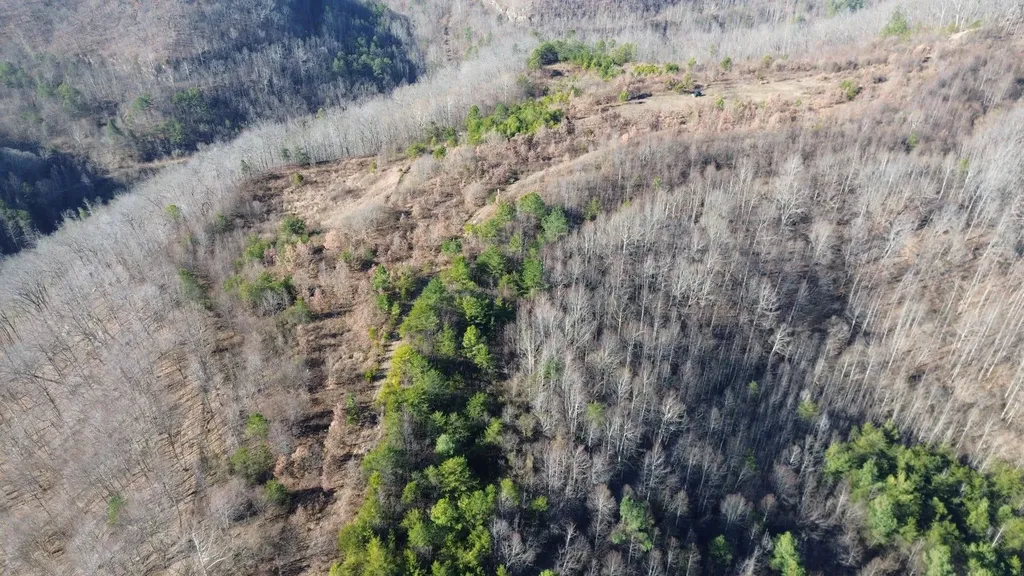 150 Sycamore Creek Road Van Lear KY 41265