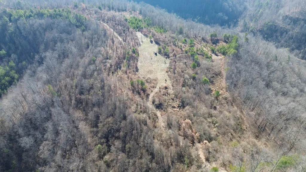 150 Sycamore Creek Road Van Lear KY 41265