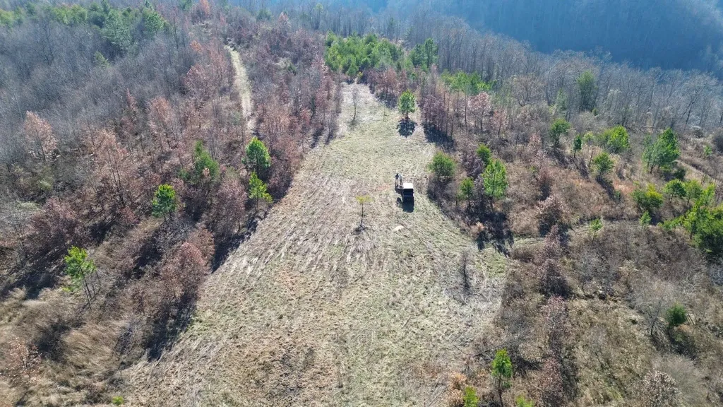150 Sycamore Creek Road Van Lear KY 41265