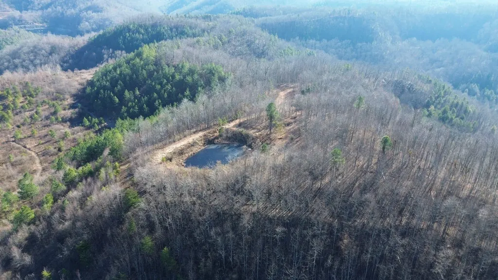 150 Sycamore Creek Road Van Lear KY 41265