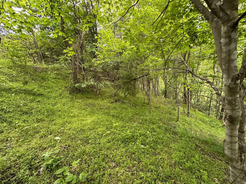 150 Sycamore Creek Road Van Lear KY 41265