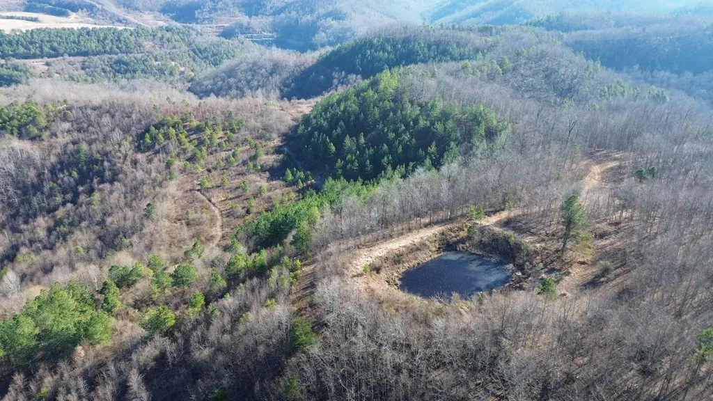 150 Sycamore Creek Road Van Lear KY 41265