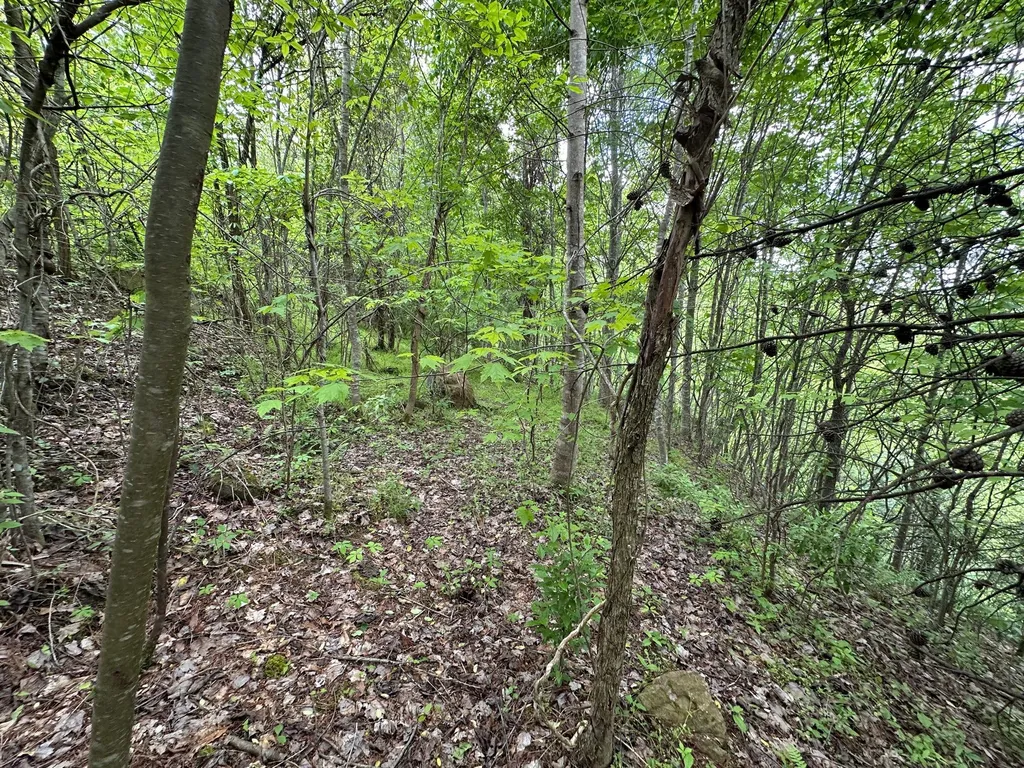 150 Sycamore Creek Road Van Lear KY 41265
