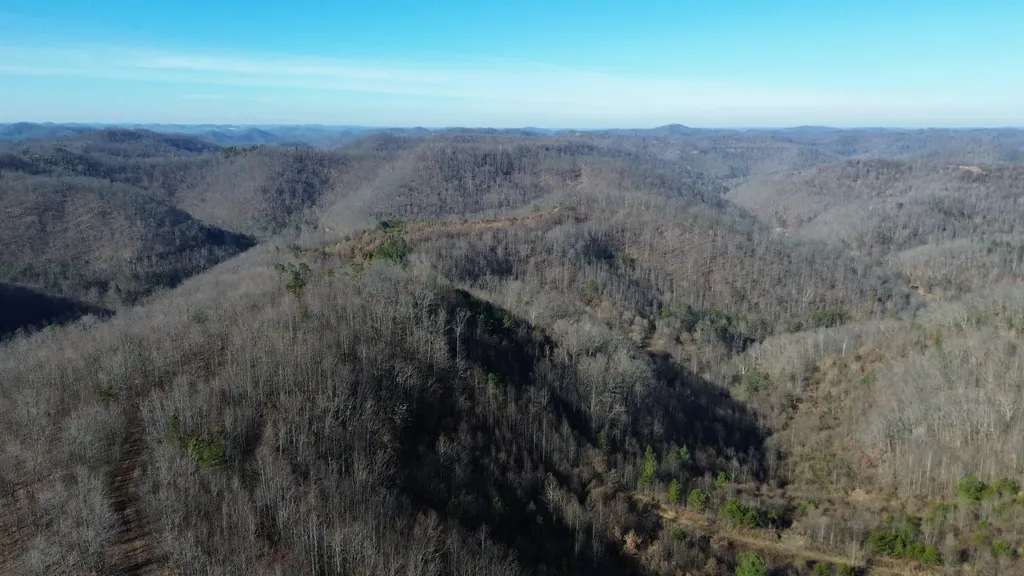 150 Sycamore Creek Road Van Lear KY 41265