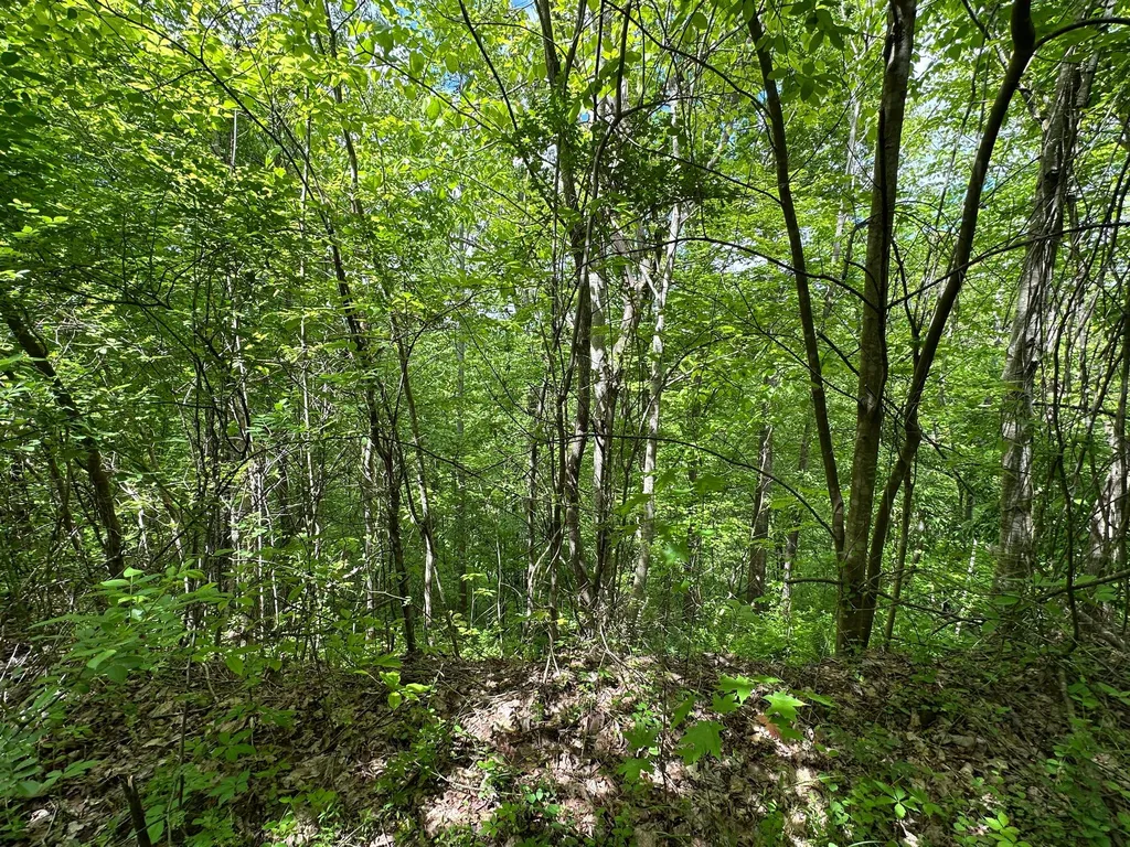 150 Sycamore Creek Road Van Lear KY 41265