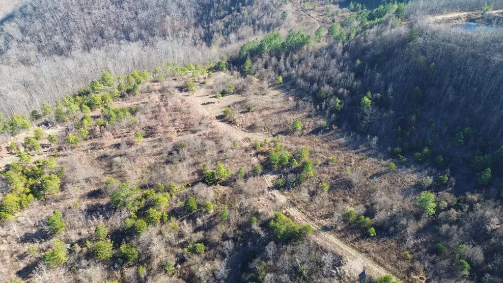 150 Sycamore Creek Road Van Lear KY 41265
