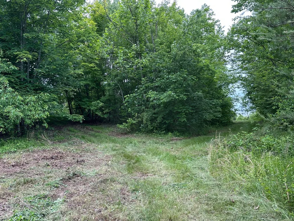 150 Sycamore Creek Road Van Lear KY 41265