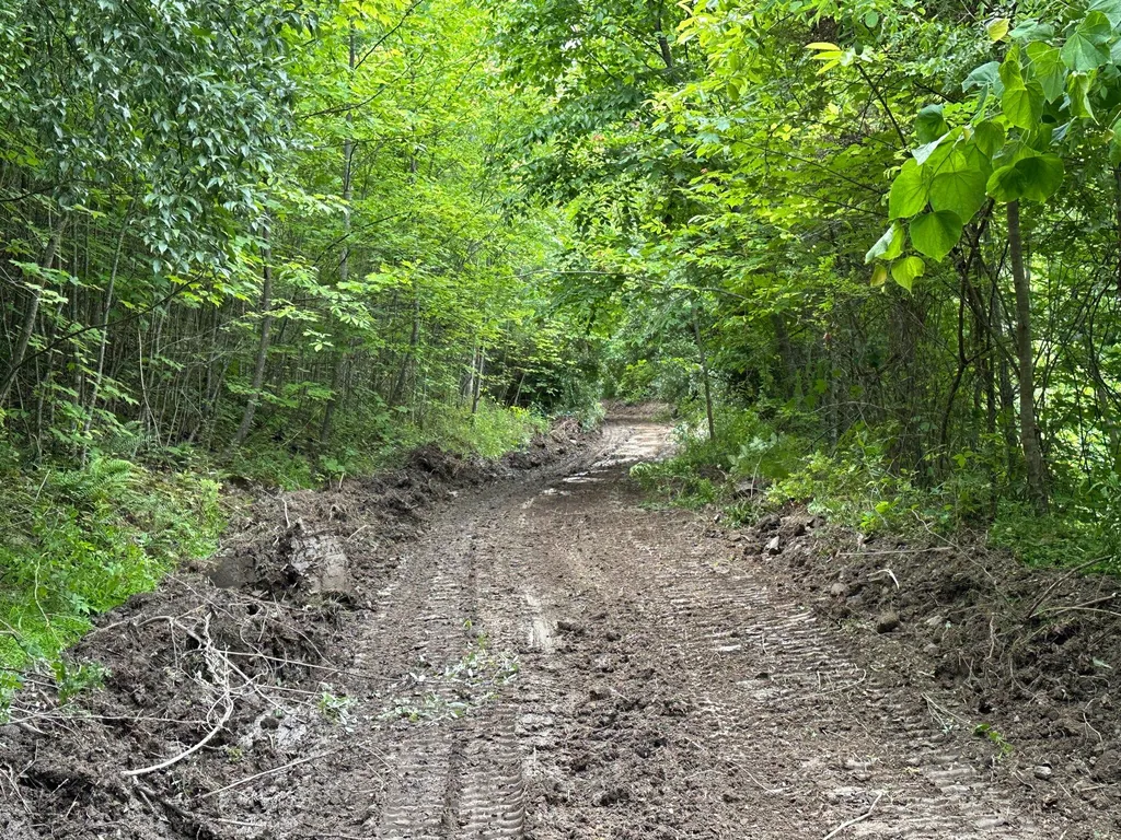 150 Sycamore Creek Road Van Lear KY 41265