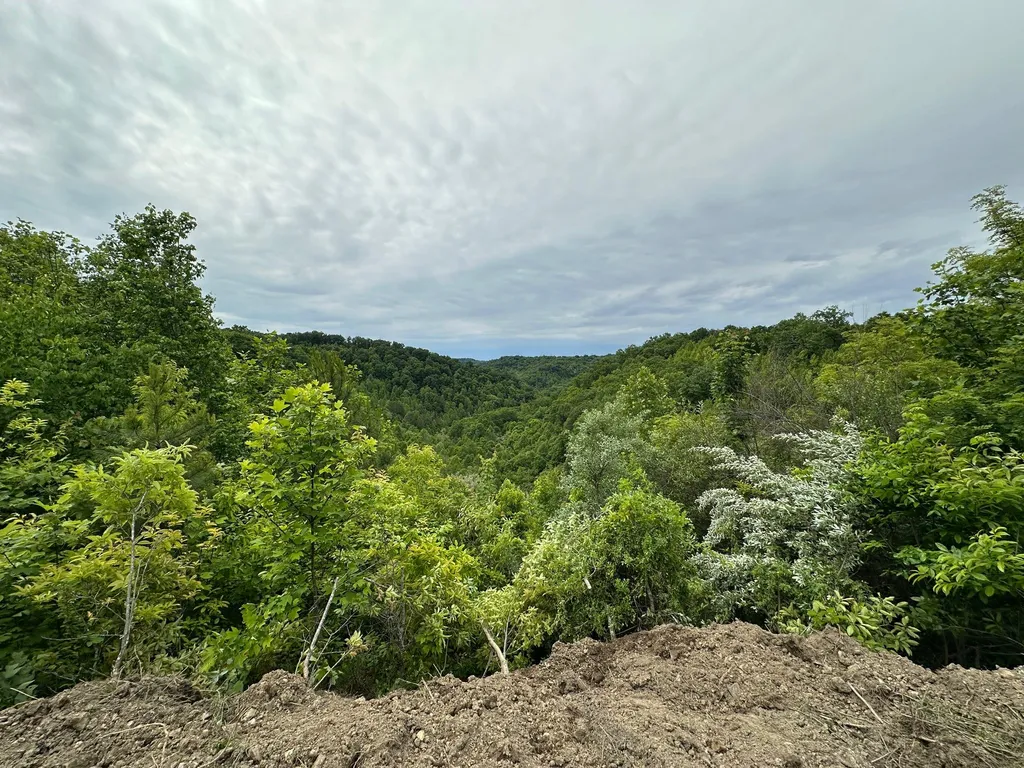 150 Sycamore Creek Road Van Lear KY 41265