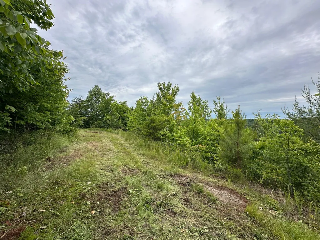 150 Sycamore Creek Road Van Lear KY 41265