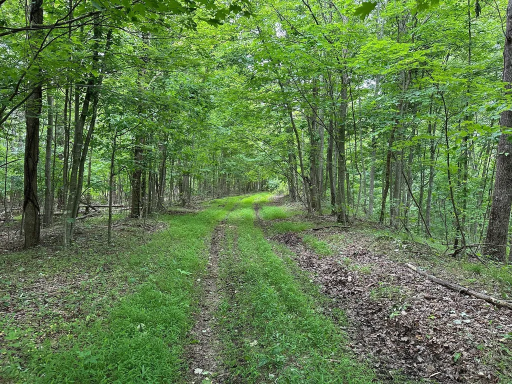 150 Sycamore Creek Road Van Lear KY 41265