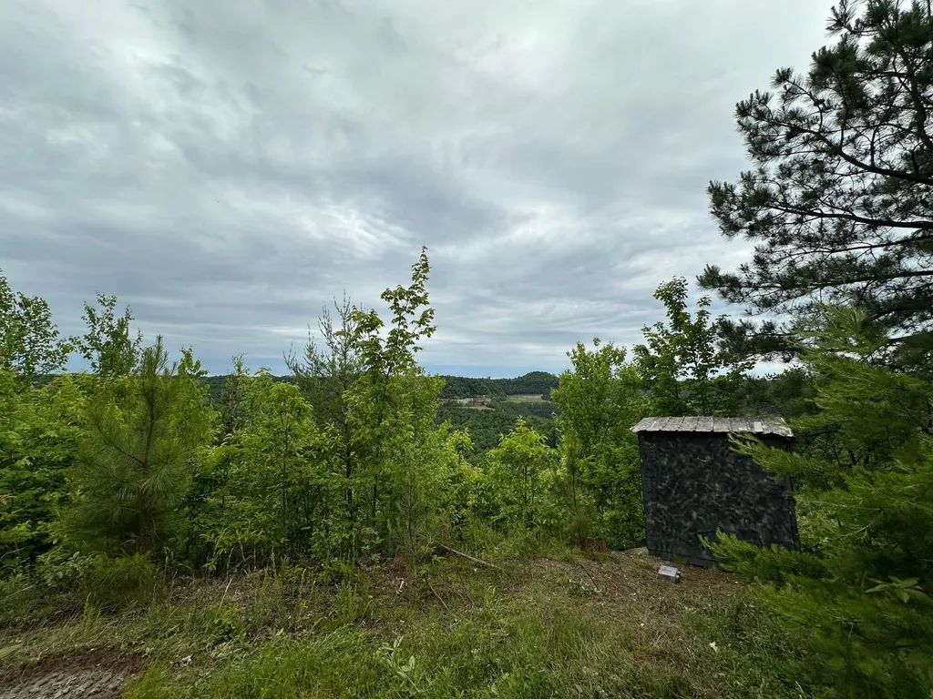 150 Sycamore Creek Road Van Lear KY 41265
