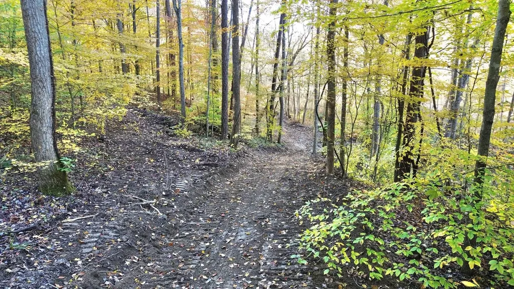 150 Sycamore Creek Road Van Lear KY 41265