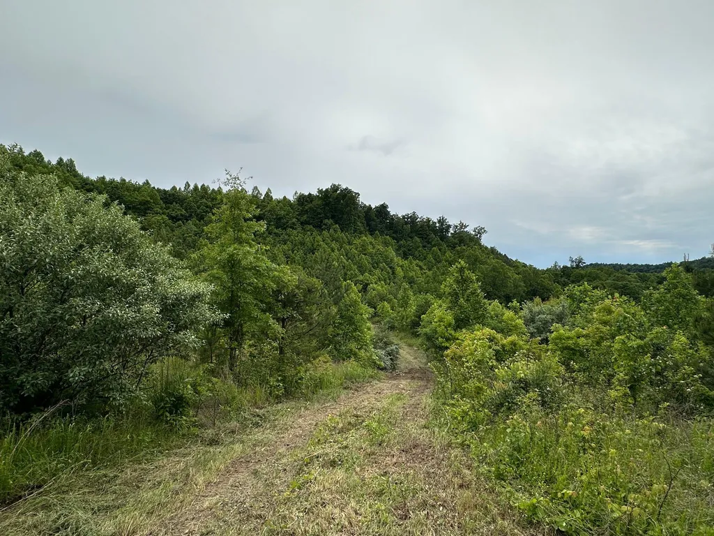 150 Sycamore Creek Road Van Lear KY 41265