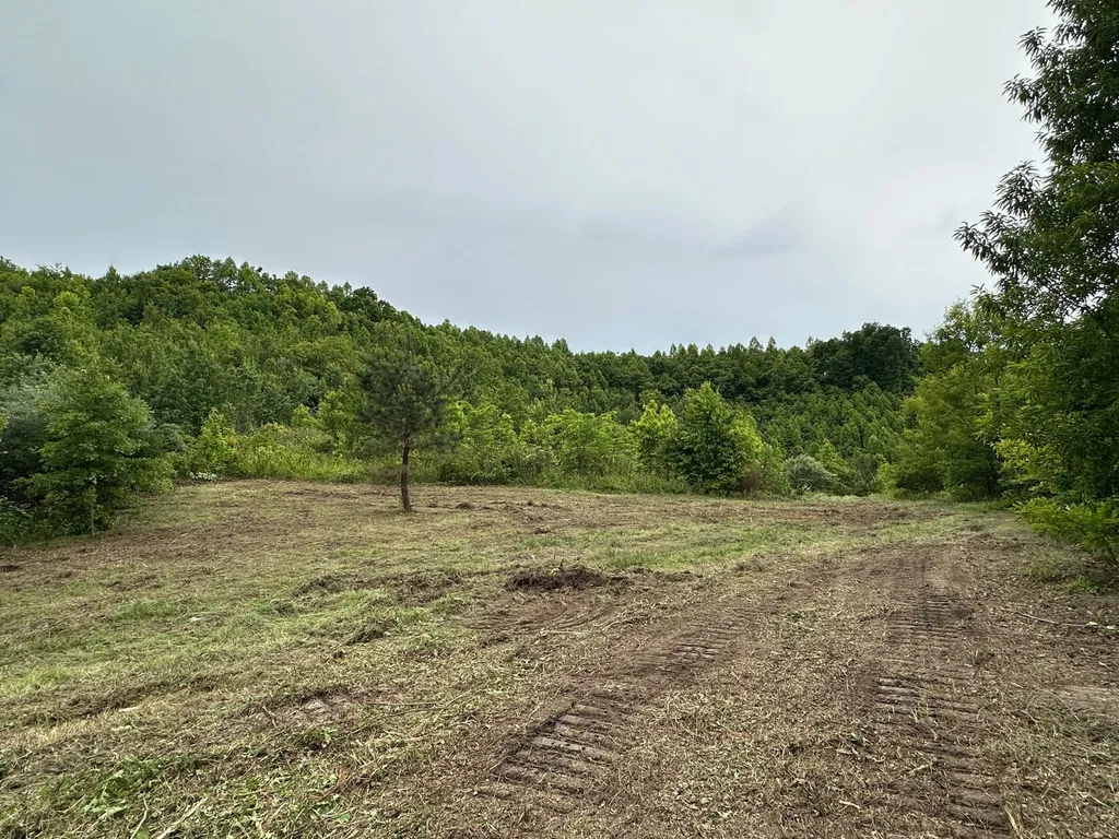 150 Sycamore Creek Road Van Lear KY 41265