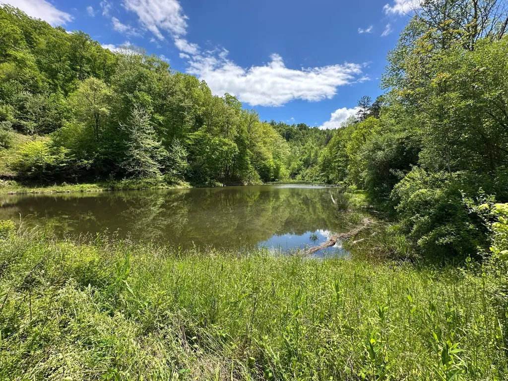 150 Sycamore Creek Road Van Lear KY 41265