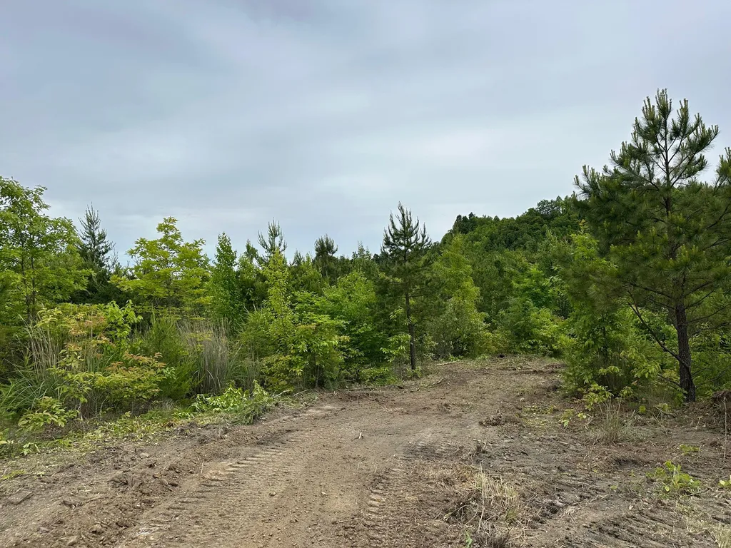 150 Sycamore Creek Road Van Lear KY 41265