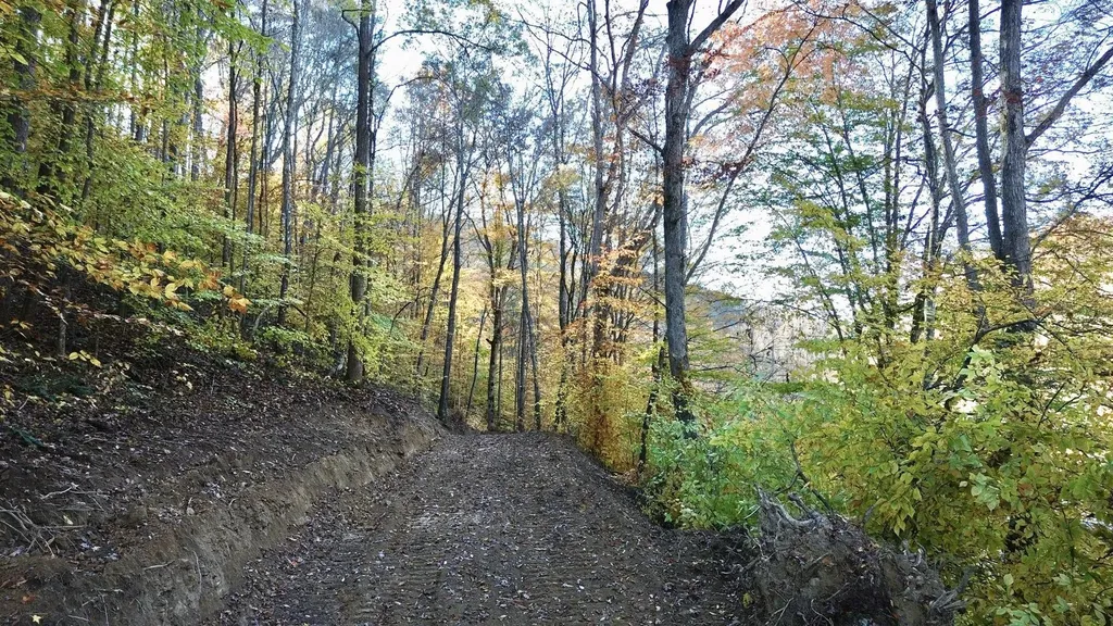 150 Sycamore Creek Road Van Lear KY 41265