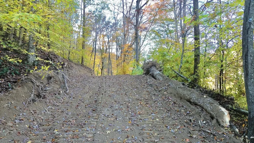 150 Sycamore Creek Road Van Lear KY 41265