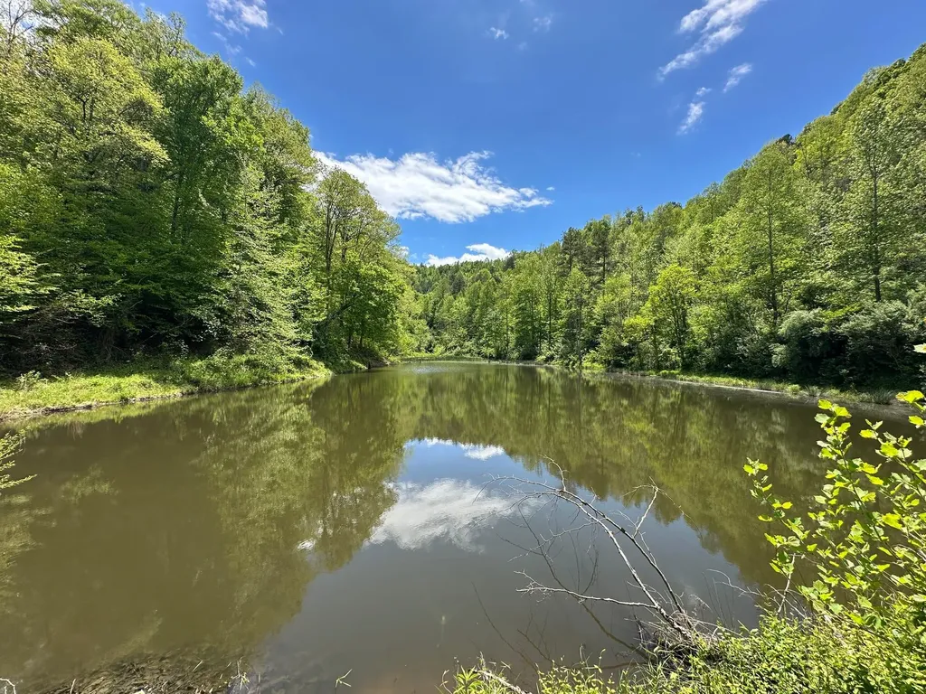 150 Sycamore Creek Road Van Lear KY 41265