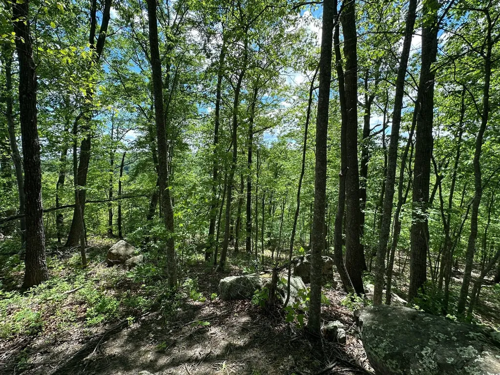 150 Sycamore Creek Road Van Lear KY 41265